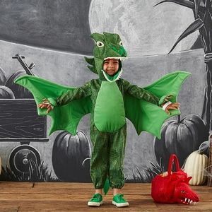 Pottery Barn 3T Green Dragon Costume-LIKE NEW